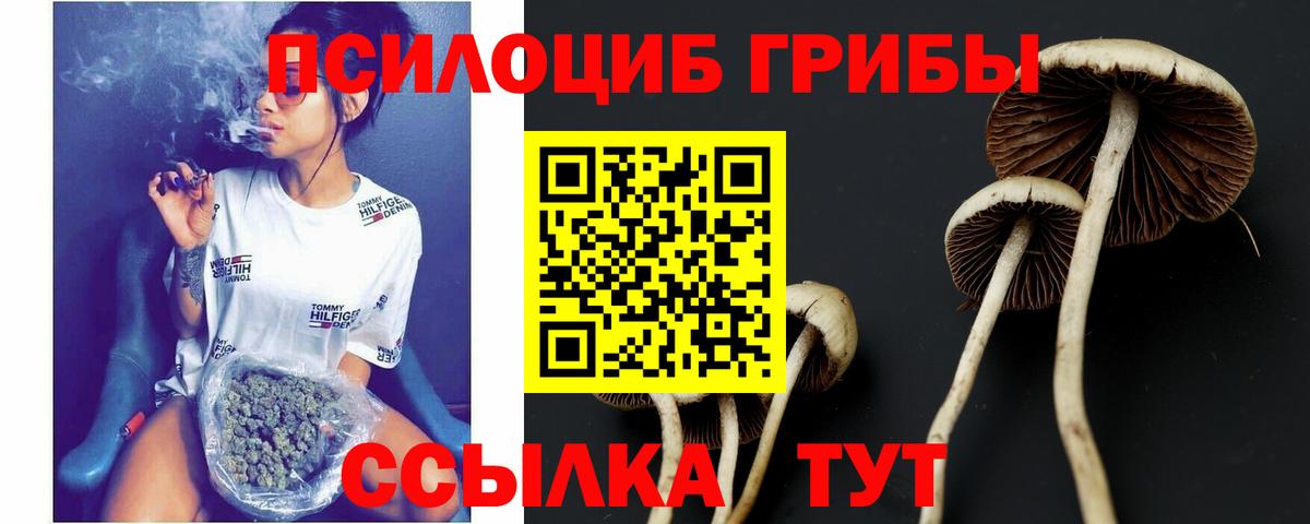 Галлюциногенные грибы ЛСД Качканар