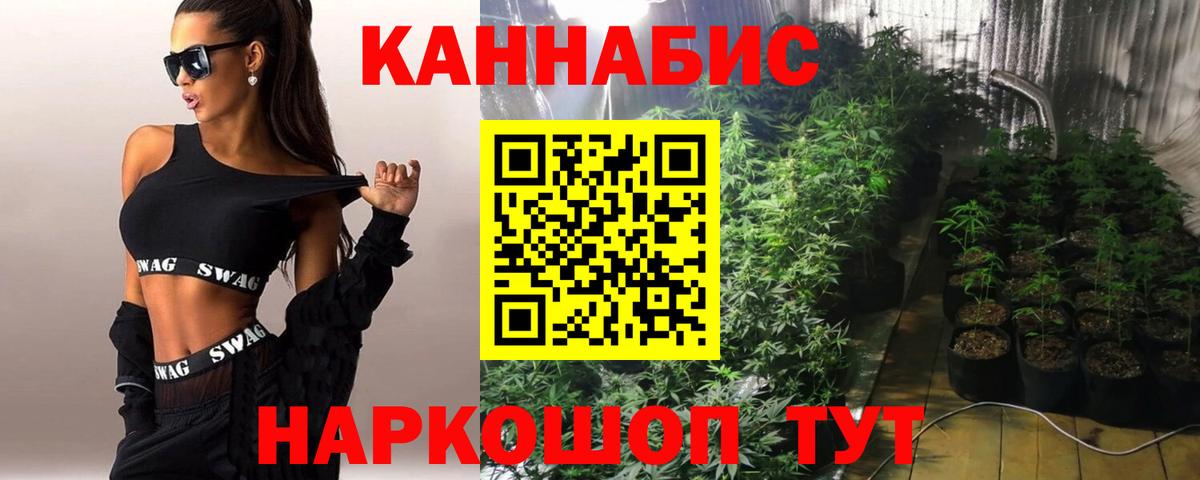 Бошки Шишки гибрид  Вход с VPN  Конопля план  Качканар  Конопля LSD WEED 